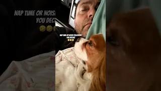 When Snuggles Turn into a Snore Symphony! Who’s louder ? 🤣🤣🤣 #funnyvideos