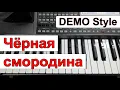 KORG Pa - Стиль «Чёрная смородина» Алёна Росс - караоке Cm