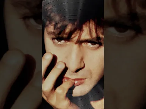 Etienne Daho - Pop Satori en vinyle Picture Disc pour ses 40 ans