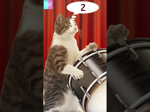This cat's timing is PERFECT! 🥁🐱   #cat #catanimation #funny