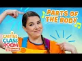 Parts Of The Body Caitie s Classroom Sing-Along Show Education Songs for Kids