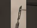 Lagu Surgical Scalpel Blades #surgicalskills #surgery #surgeon #surgeonlife #vet #medicine #educational