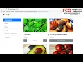 Angular Beginner to Pro - Introduction By Mosh Hamedani