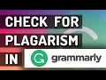How To Check For Plagiarism in Grammarly Is It Any Good
