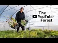 Download Lagu Als je deze YouTube-video bekijkt, plant je een bos