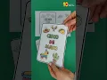 Cinco De Mayo Cut and Paste Activity Worksheet