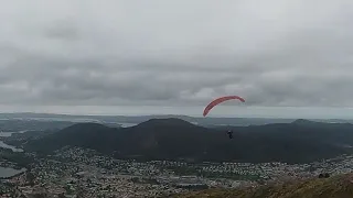                             دندنها