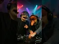 Download Lagu Brr Brr Patapim X Tralalero Tralala DJ #brrbrrpatapim #tralalerotralala #rap