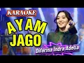 Download Lagu Karaoke AYAM JAGO - Difarina Indra OM ADELLA ( Dangdut Koplo )