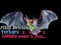 Download Lagu suara pikat kelelawar / codot terbaru jaminan 1000% ampuhh... auto muncul rombongan....