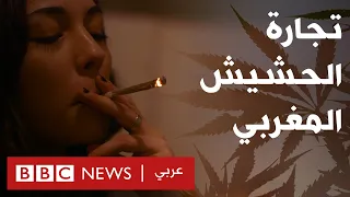 من يحقق الثراء من الحشيش المغربي 