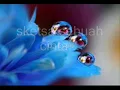 MAY - Sketsa Sebuah Cinta (lirik)