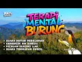 Download Lagu CEPAT GACOR!! TERAPI SEMUA JENIS BURUNG GEMERCIK  AIR!!