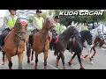 Download Lagu KUDA POLISI GAGAH SEKALI - Lagu NAIK DELMAN ISTIMEWA | Kuda-Kuda Perkasa