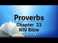 NIV Bible The Book of Proverbs 23 Bible with text