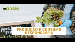 ODS 12 - Consumo e Produção Responsáveis