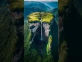 1 March 2024 live wallpapers