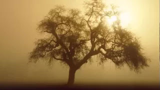 خالد عبدالرحمن   ليش العتاب دندنها
