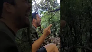 Kiwi scares Kangaroo!