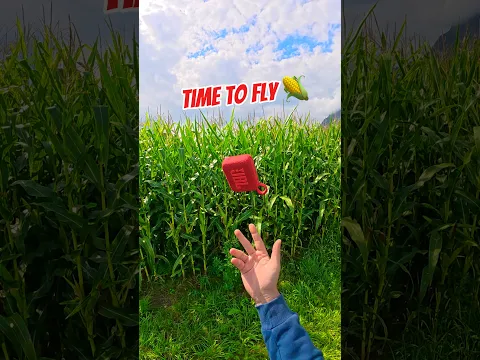 Well… It’s Gone 💀🌽