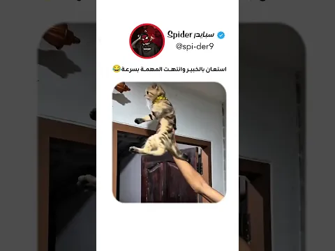 استعان بالخبير وانتهت المهمه بسرعة 😂 #اكسبلور #funny #hindisong #فولو #لايك_اشتراك #fyp