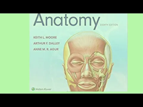 Download MP3 #short Link in discrip         Clinically Oriented Anatomy 8th Edition by Keith L. Moore