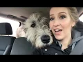 Pet Sense Coupon