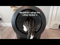 My cat using the Litter-Robot 4