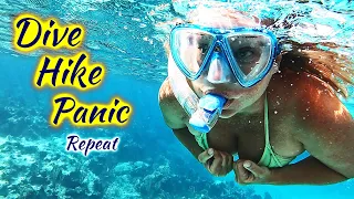 SDA184 Dive • Hike • Panic (repeat)