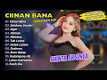 Download Lagu Shinta Arsinta - CIINAN BANA - SALAHMU SENDIRI || FULL DANGDUT KOPLO 2024
