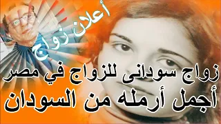 هل تريد الزواج من أرملة سودانية في مصر فرص جديدة وحقائق مهمة 