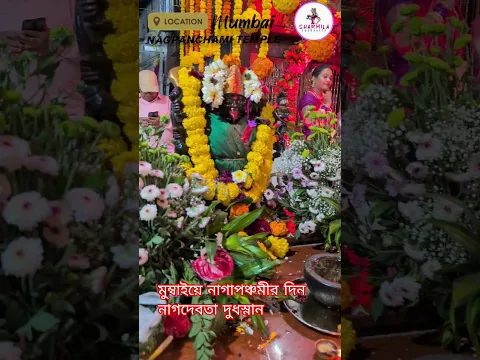 দুধ দিয়ে স্নান করানো মুম্বাইয়ে নাগাপঞ্চমী দেবতাকে #nagapanchami #mumbai #puja #sharmilashowhouse