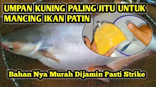 Download Umpan Ikan Patin Kolam Harian Yang Susah Makan Paling Jitu // Situ Buer MP3