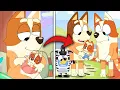 Brandy Is Bingo s Real Mom The Story Behind It Bluey