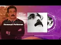 xelil xemgin partizanım (ez ne teyrım)