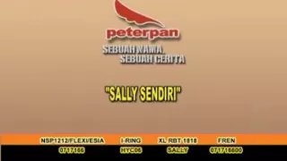 Download Peterpan - Sally Sendiri (Karaoke + VC) MP3