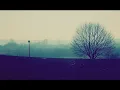 Trentemoeller - Moan. (Trentemoeller Chronicles Remix)