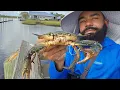 Awesome Crabbing at Low Tide in Florida How I Catch Blue Crabs Lets Goooooo