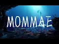Jay Park (박재범) - MOMMAE (몸매) feat. Ugly Duck (Color Coded Lyrics Han/Rom/Eng/가사) #lyrics