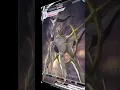 TOP 5 ARCEUS VMAX POKEMON CARDS PokeBoyShorts
