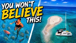 The Wait Was Worth It! An Unexpected Reef Encounter! Sailing Queensland East Coast Australia