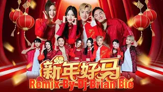 xie nian ge 2026 xin nian hao ma what you say da tuan yuan melody by dj brian bie dj