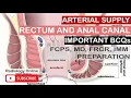 Download Lagu Arterial Supply of Rectum and Anal Canal | Radiology by Dr. Sam