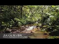 Download Lagu ASMR Suara Sungai dari Jawa – Terapi Alami untuk Tidur \u0026 Relaksasi