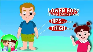 Mengenal Tubuh bagian Bawah Manusia dalam Bahasa Inggris | Kartun Anak Channel