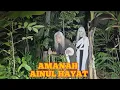 Lagu Bismillah Amanah yang dititipkan