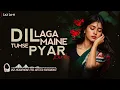 Dil Laga Liya Maine Tumse Pyaar Karke || Relaxing Lo- FI Version || दिल लगा लिया | 90s LoFi Song