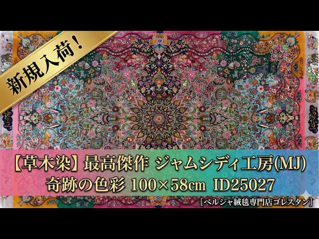 モハマド・ジャムシディ工房 奇跡の色彩（草木染ジオグラフィー）60×105cm (ID25027)