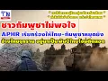 ชาวกัมพูชาไม่พอใจAPHR เรียกร้องให้ไทย-กัมพูชาหยุดยิง อ้างไทยรุกราน อยู่มาเป็นพันปีไทยโจมตีตลอด