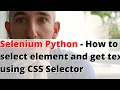 Selenium Python - How to select element and get text using CSS Selector